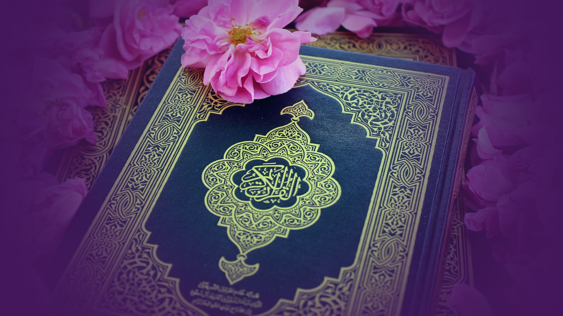 Quran & Islamic Studies – Saturdays